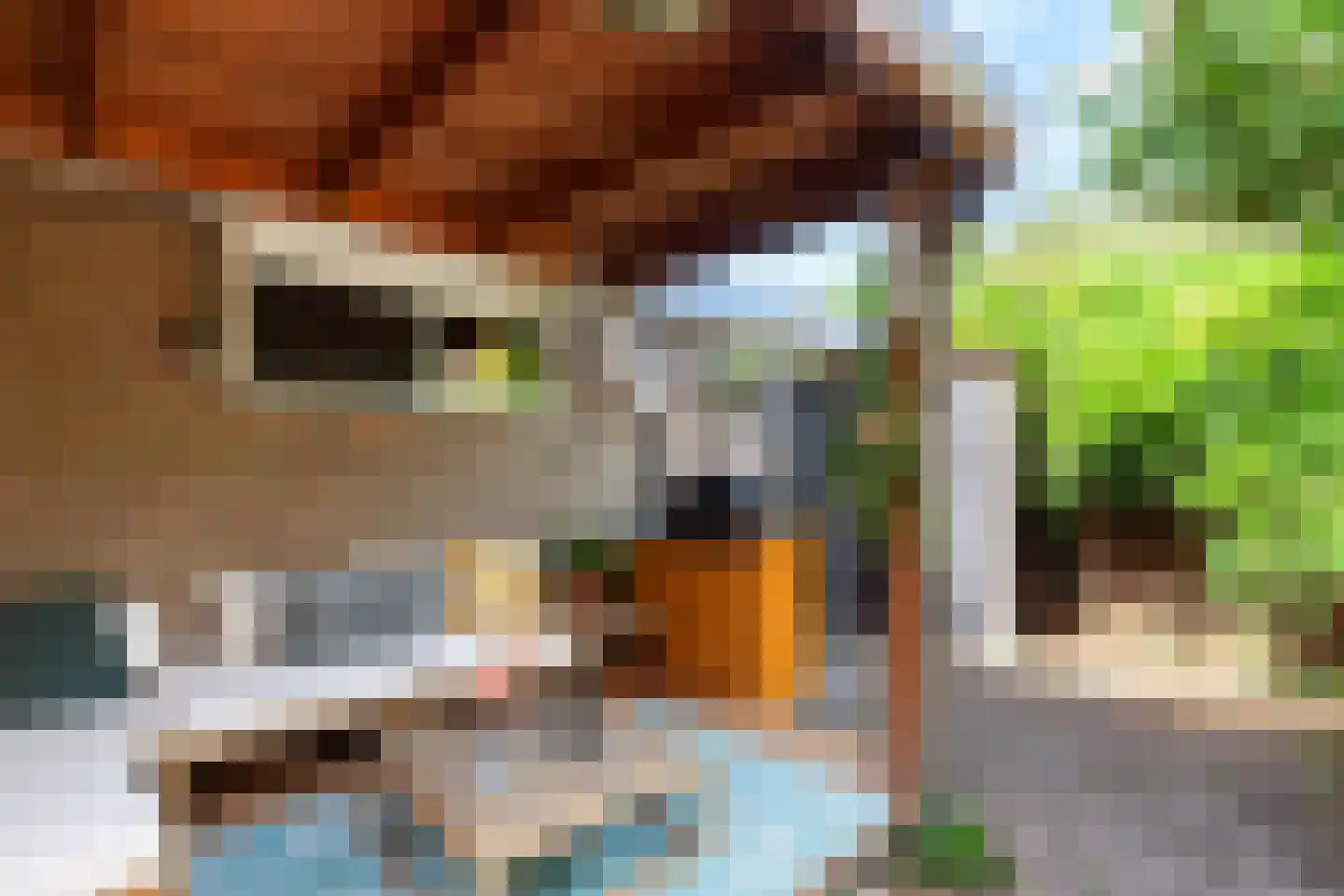 Benedenrijweg 43 Ridderkerk thumbnail 34