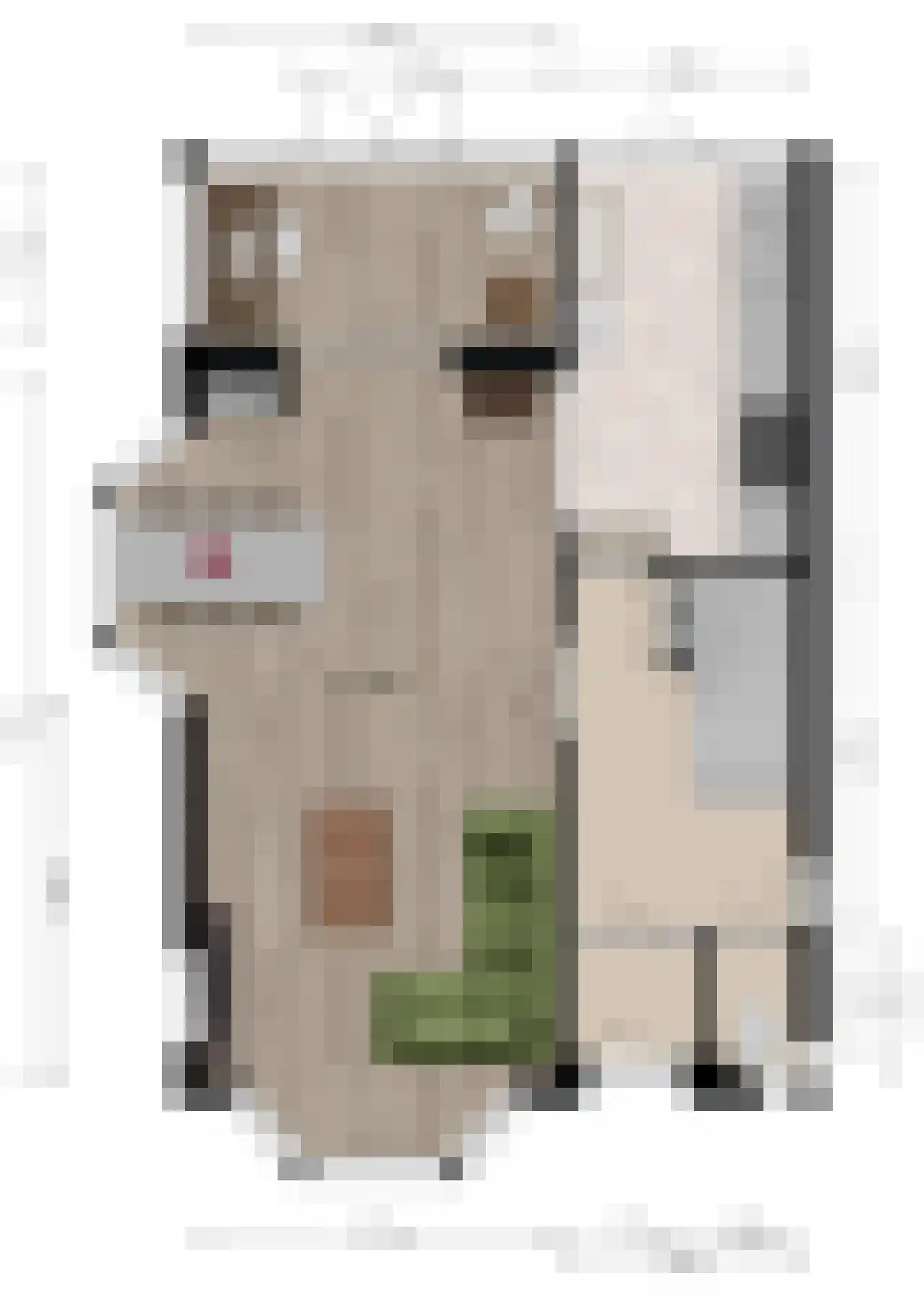 Benedenrijweg 43 Ridderkerk thumbnail 43