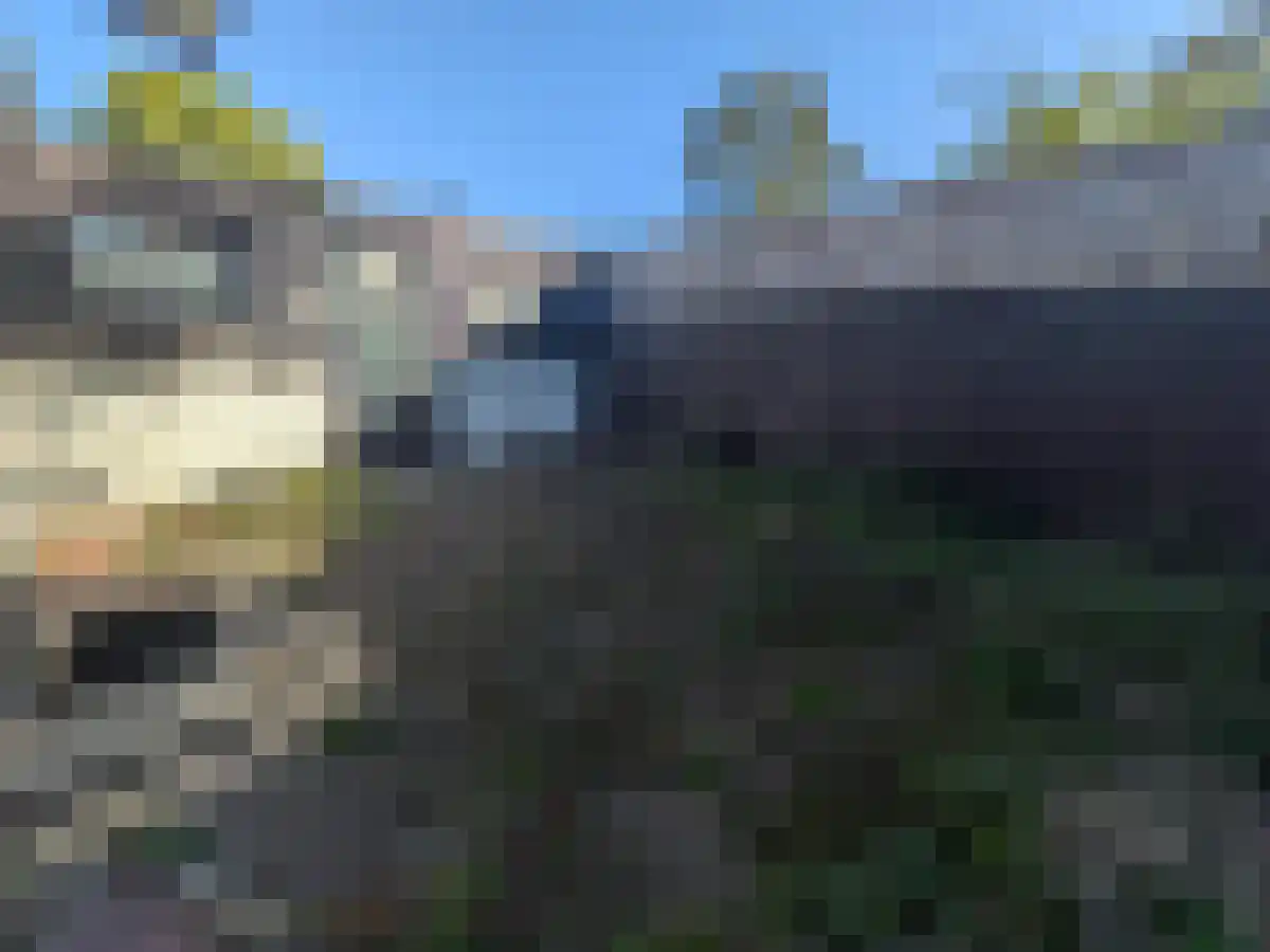 Benedenrijweg 467 Rotterdam thumbnail 6