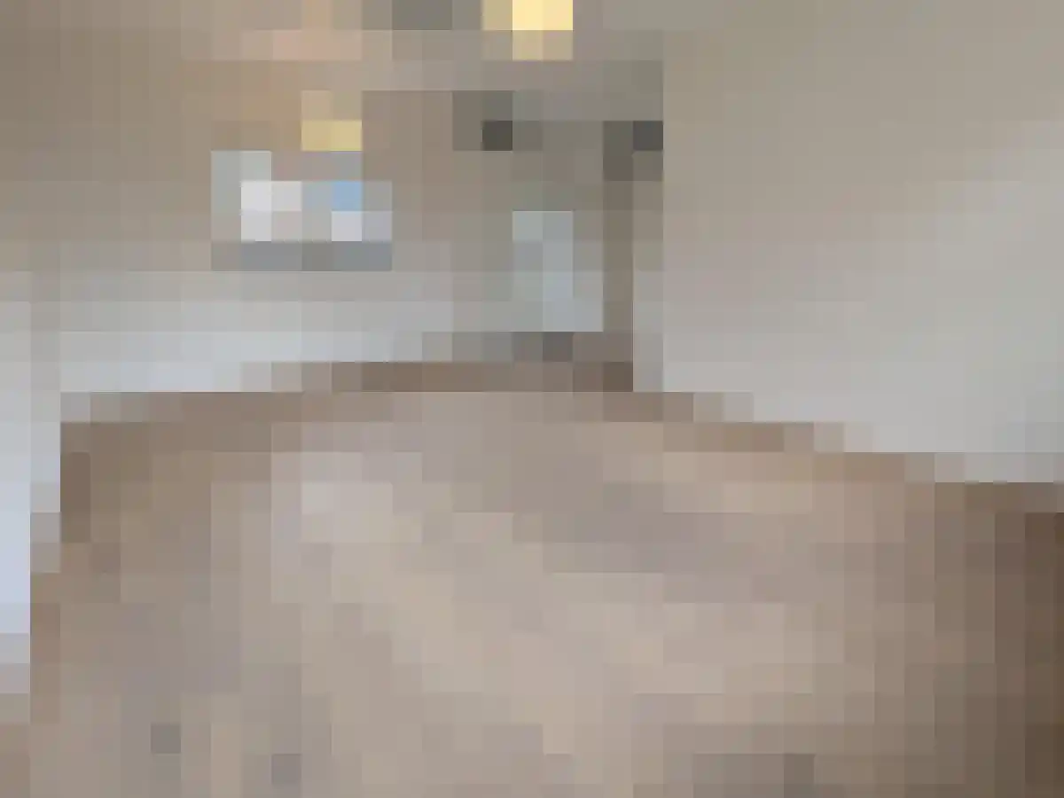Benedenrijweg 469 Rotterdam thumbnail 5