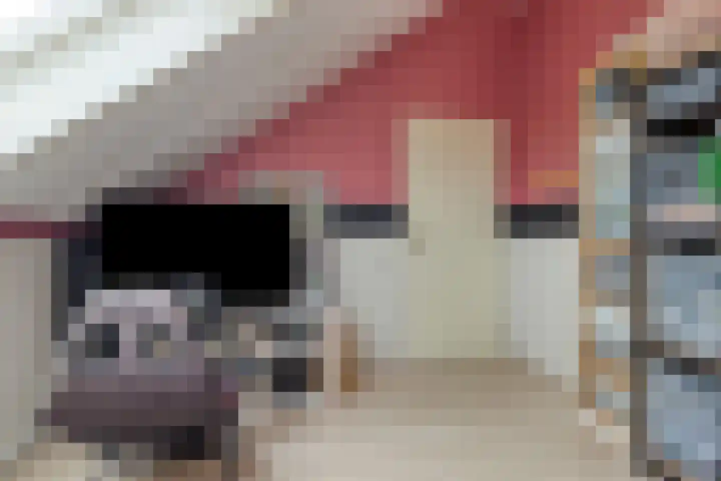 Benedenrijweg 521 Ridderkerk thumbnail 31