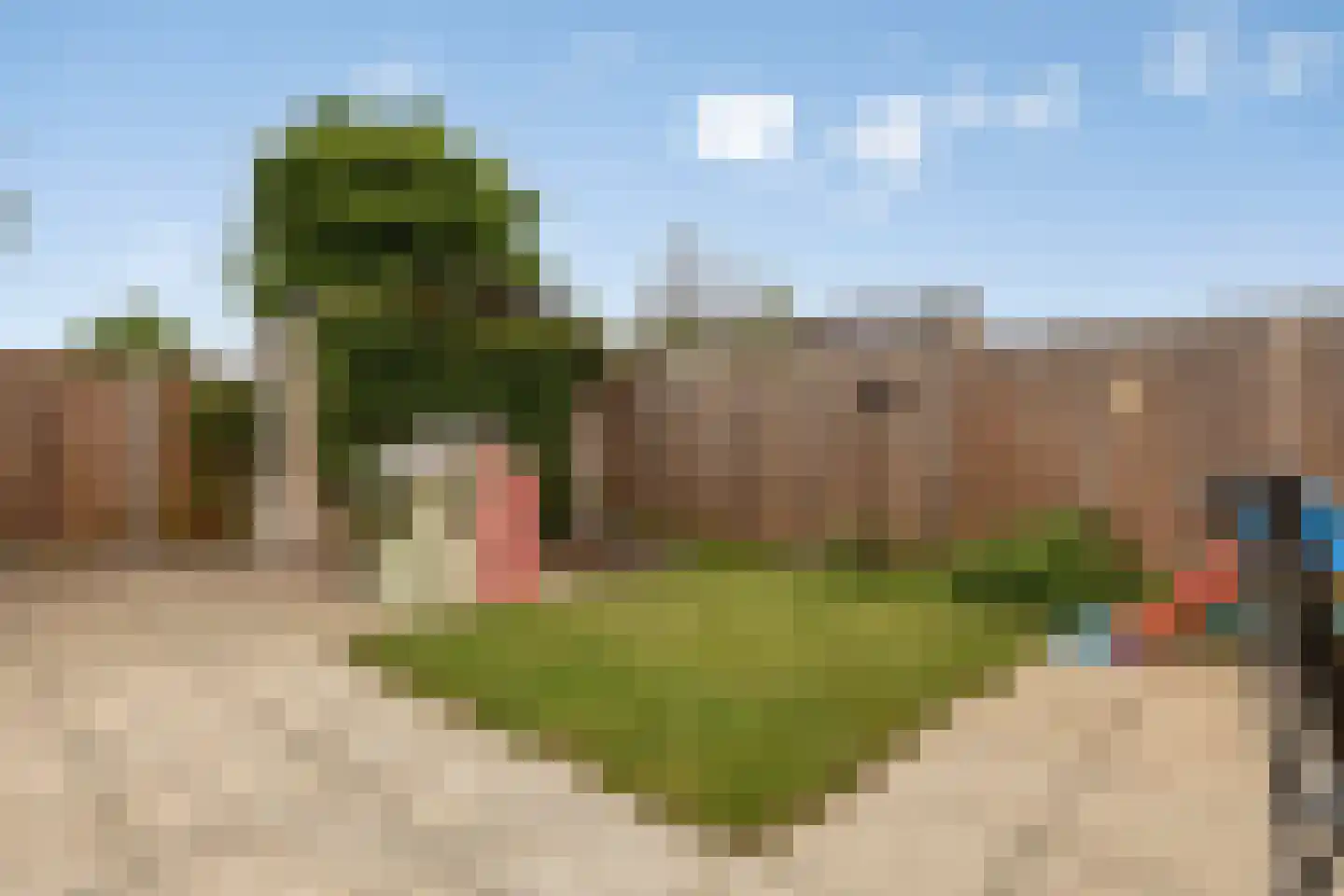 Benedenrijweg 521 Ridderkerk thumbnail 42