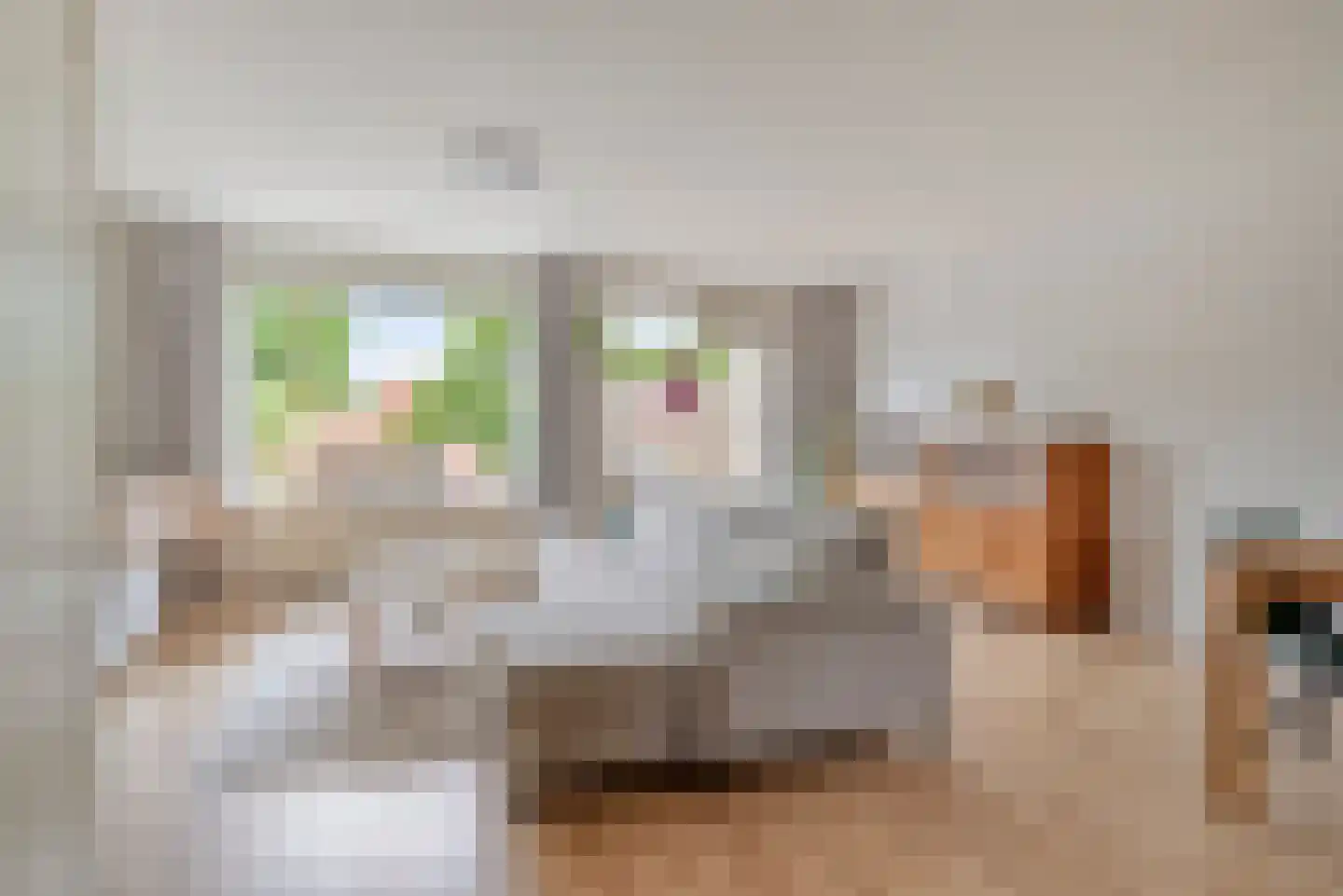 Benedenrijweg 521 Ridderkerk thumbnail 7