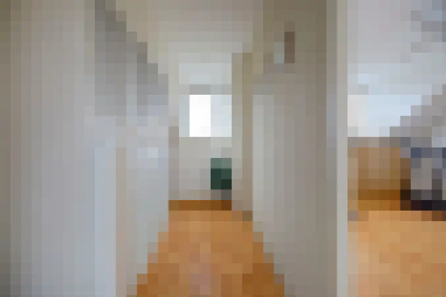Benedenrijweg 525 Ridderkerk thumbnail 31