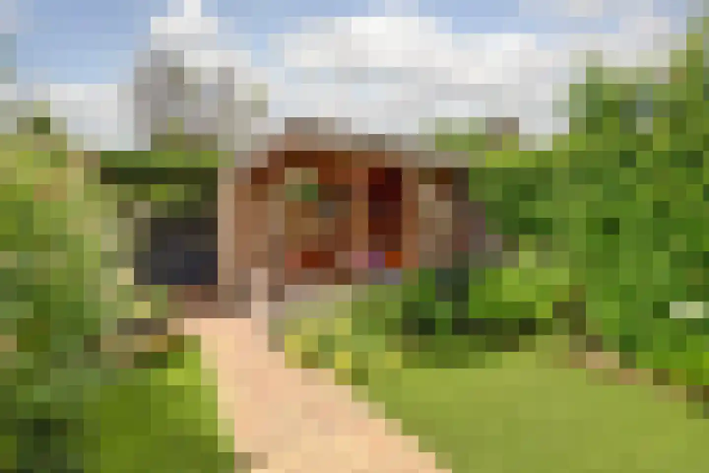 Benedenrijweg 525 Ridderkerk thumbnail 40