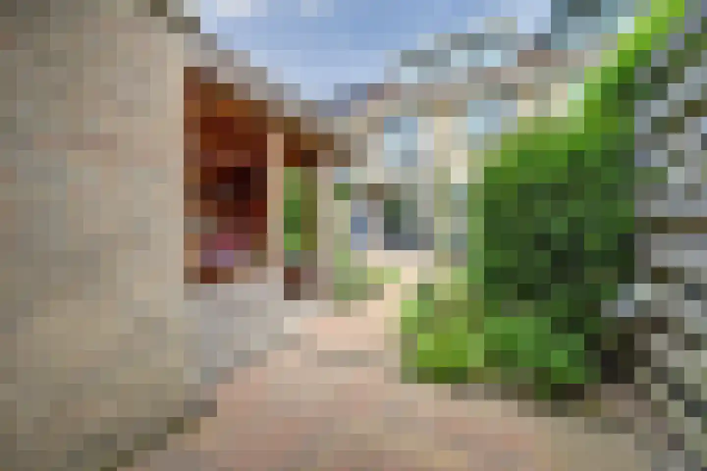 Benedenrijweg 525 Ridderkerk thumbnail 48