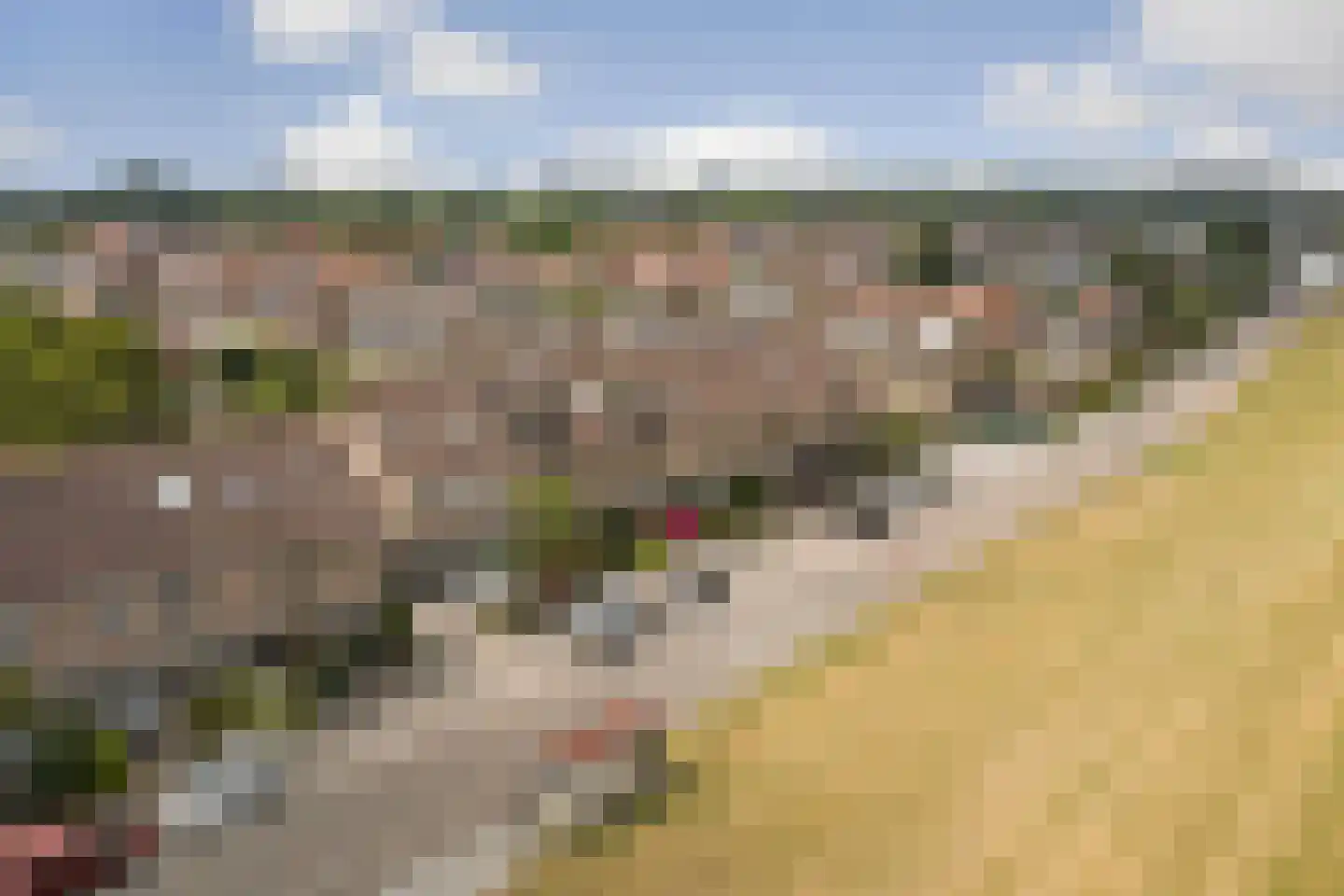 Benedenrijweg 525 Ridderkerk thumbnail 54