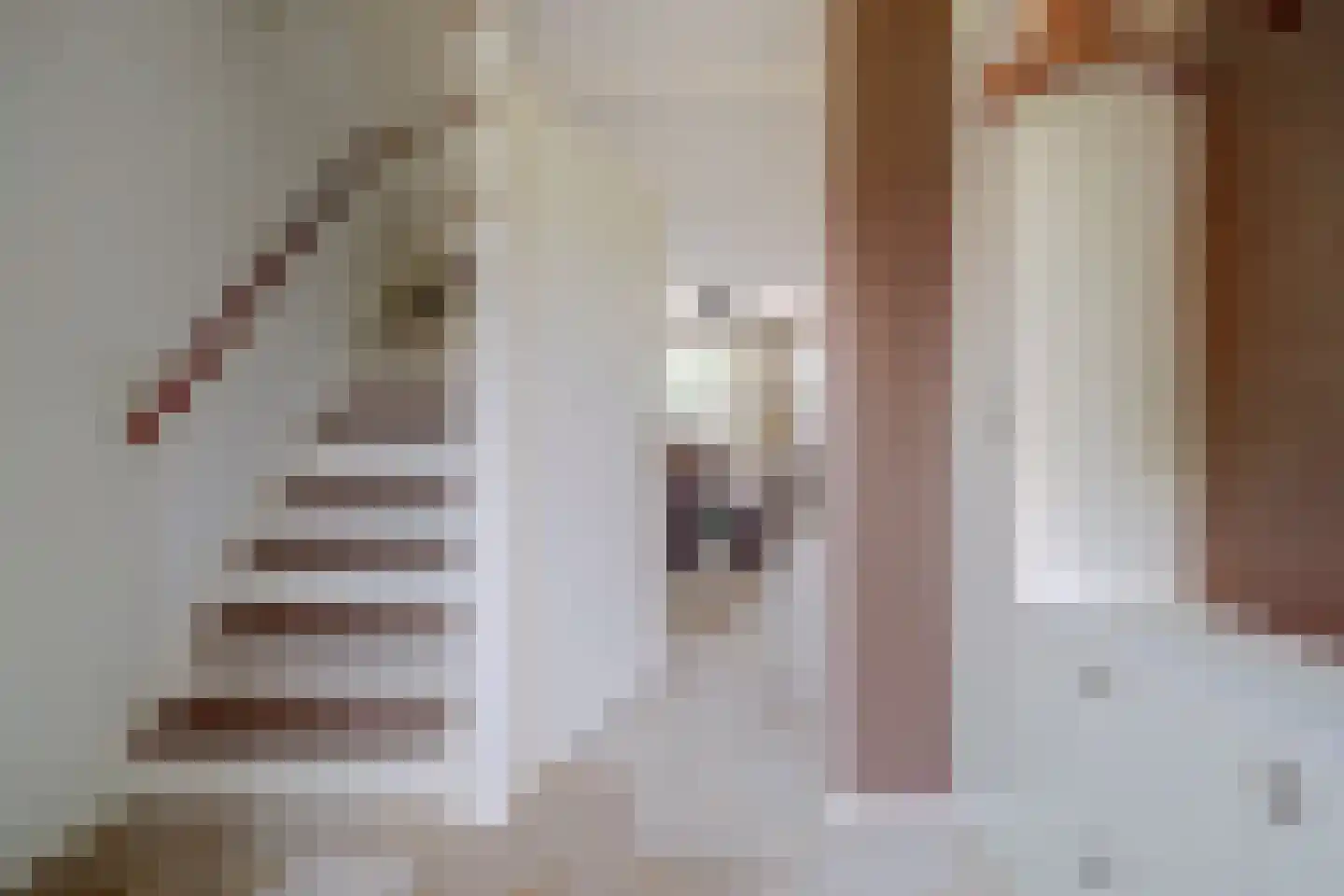 Benedenrijweg 525 Ridderkerk thumbnail 9
