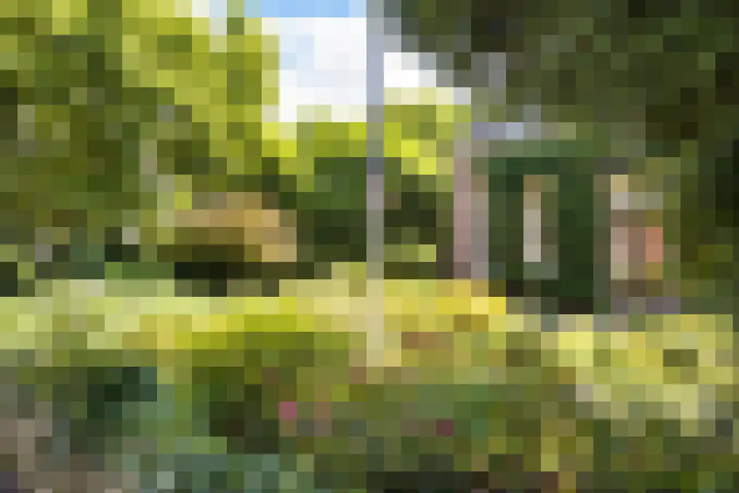 Benedenrijweg 559 Rotterdam thumbnail 4