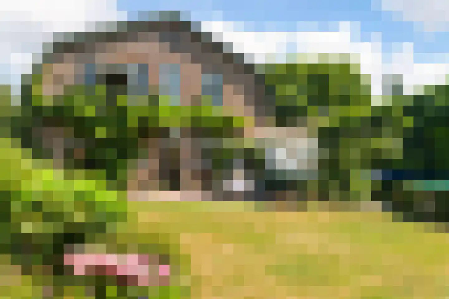 Benedenrijweg 559 Rotterdam thumbnail 47