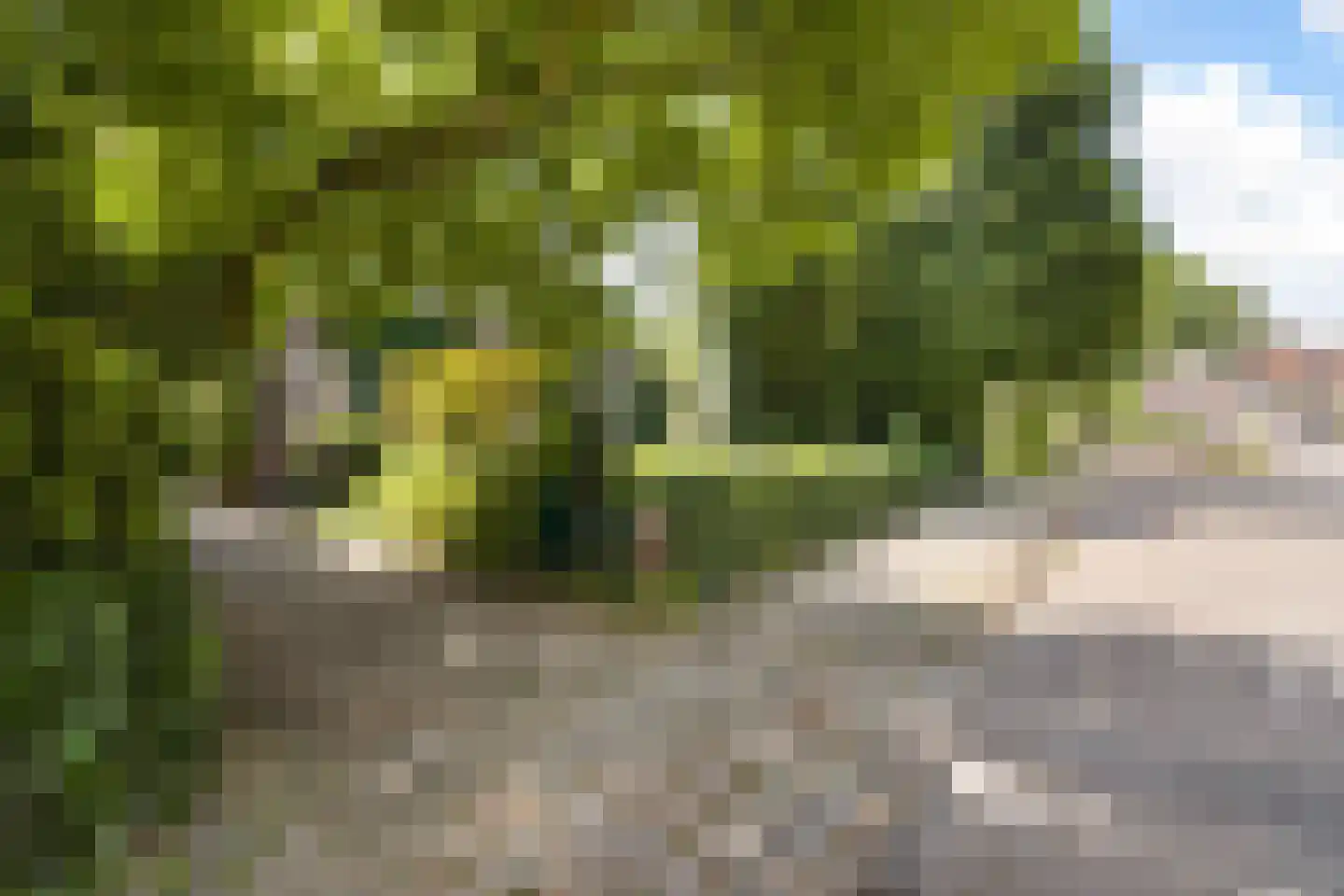 Benedenrijweg 559 Rotterdam thumbnail 48