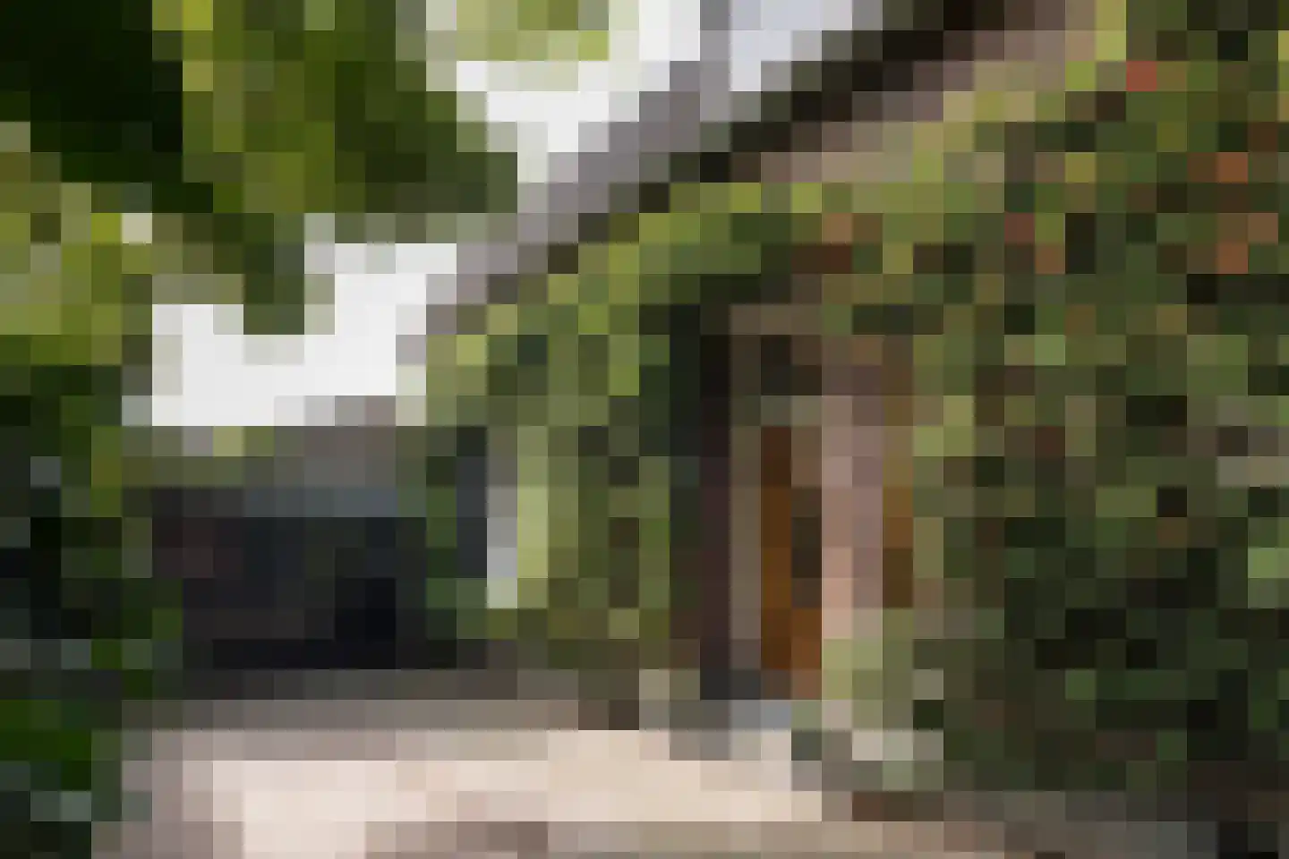Benedenrijweg 559 Rotterdam thumbnail 50