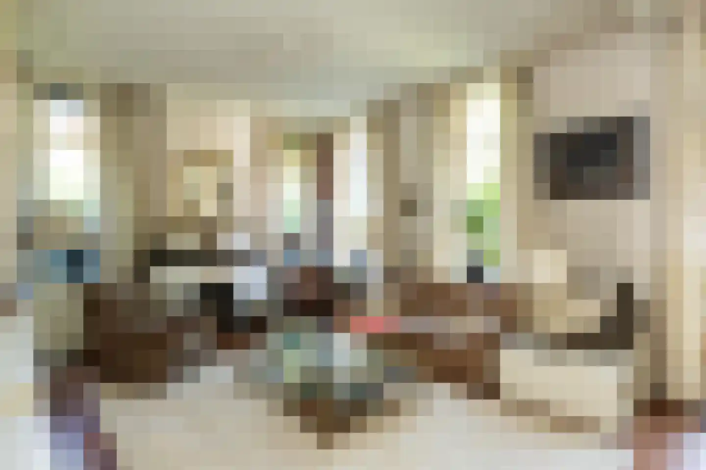 Benedenrijweg 559 Rotterdam thumbnail 8