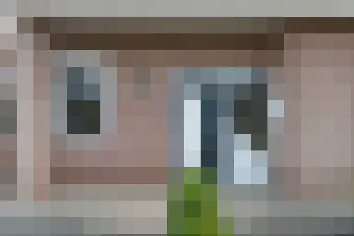 Benedenschap 6 Overasselt thumbnail 13
