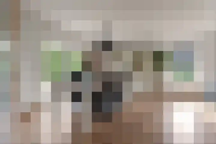Benedenschap 6 Overasselt thumbnail 15