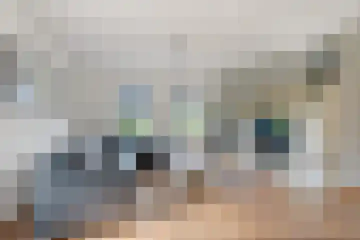 Benedenschap 6 Overasselt thumbnail 17