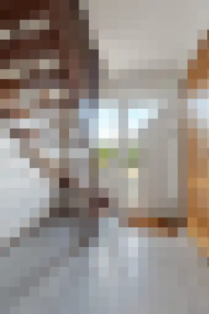 Benedenschap 6 Overasselt thumbnail 27