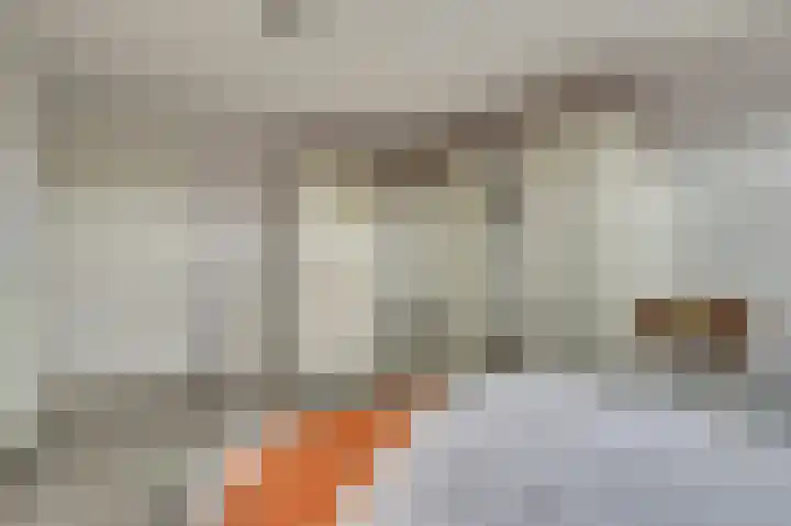 Benedenschap 6 Overasselt thumbnail 37