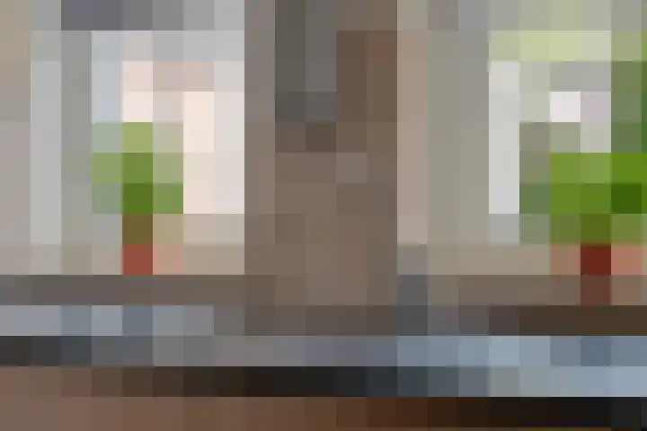 Benedenschap 6 Overasselt thumbnail 4