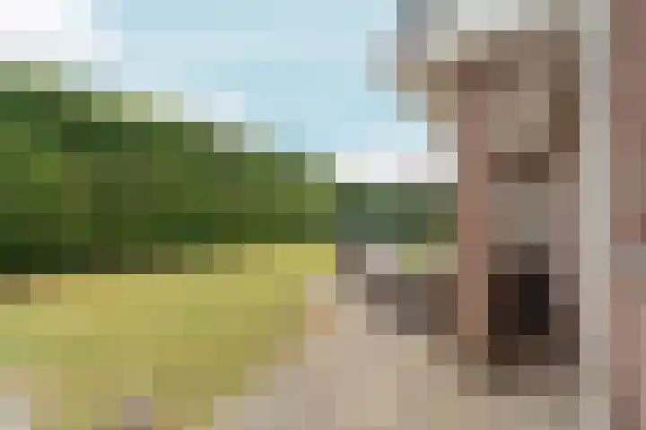 Benedenschap 6 Overasselt thumbnail 56