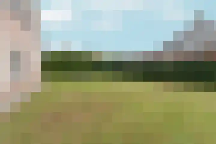 Benedenschap 6 Overasselt thumbnail 59