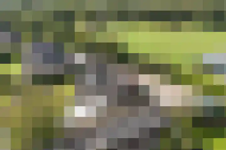 Benedenschap 6 Overasselt thumbnail 61