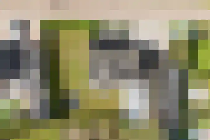 Benedenschap 6 Overasselt thumbnail 8