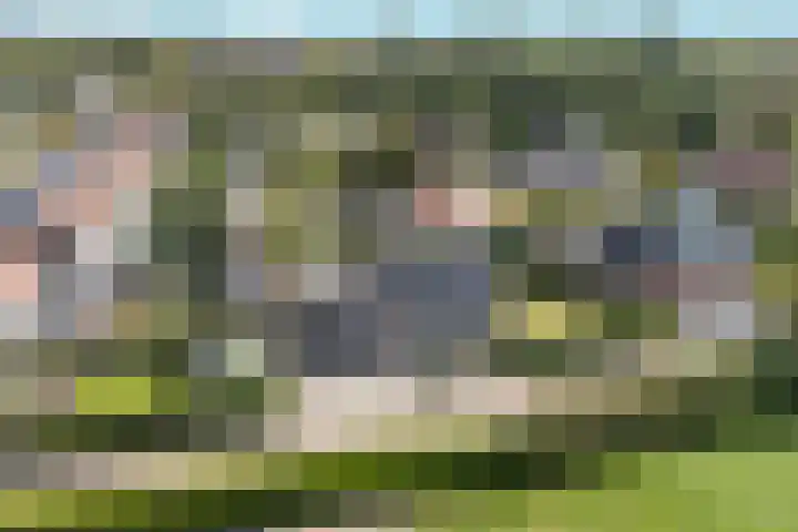 Benedenschap 6 Overasselt thumbnail 9
