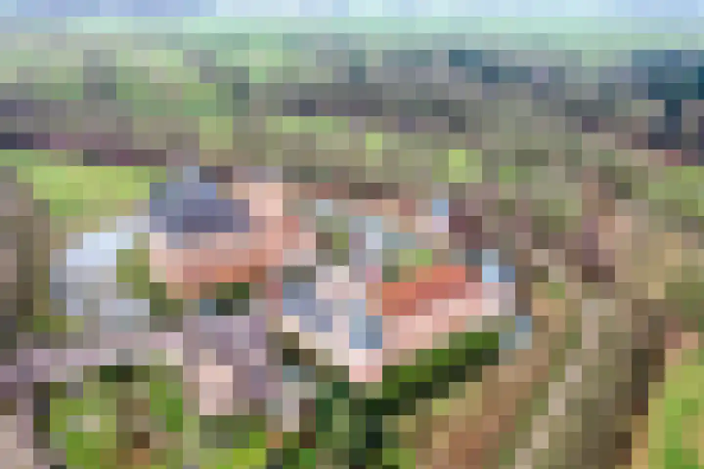 Benedensteenakkers 6 's-Heerenberg thumbnail 6