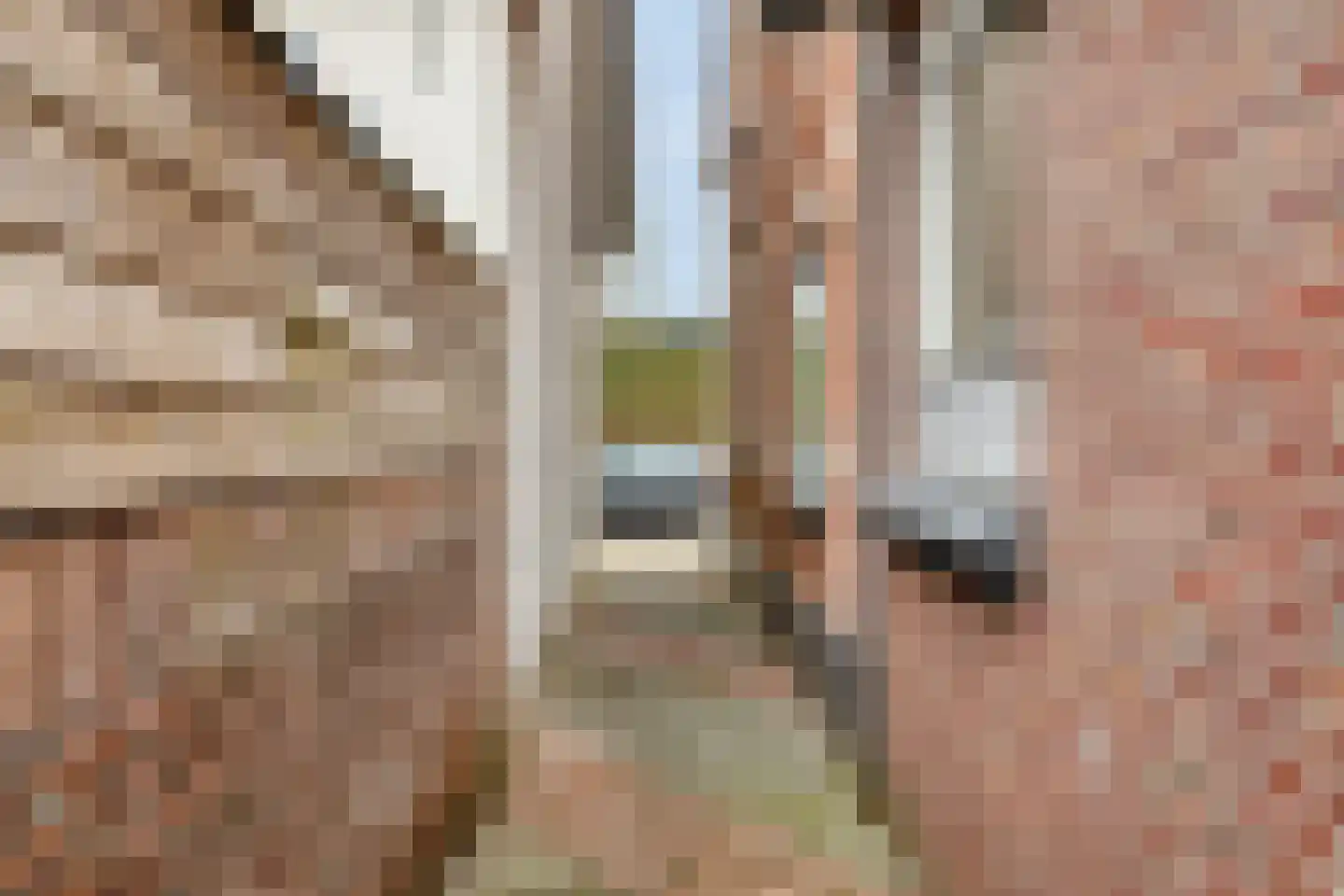 Benedensteenakkers 6 's-Heerenberg thumbnail 7