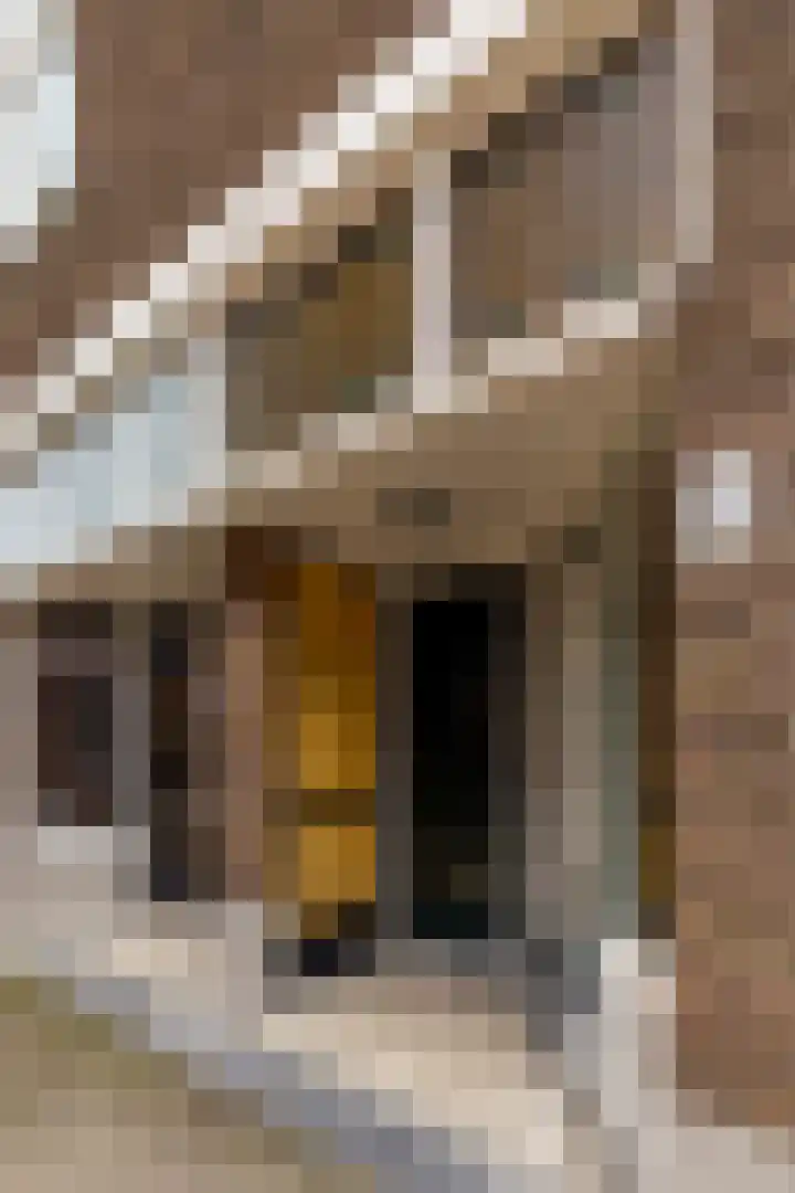 Benedenstraat 45 c Rotterdam thumbnail 5