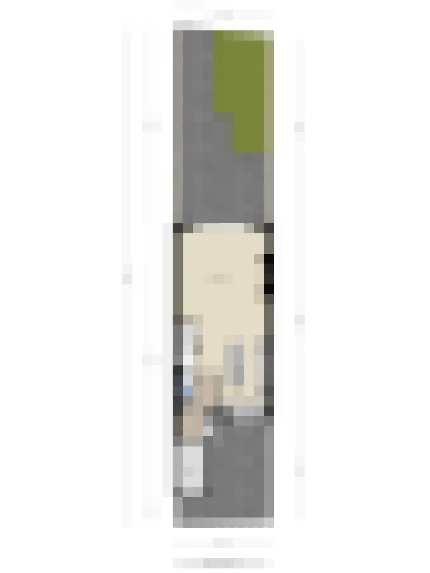 Benedenveer 10 Sliedrecht thumbnail 37