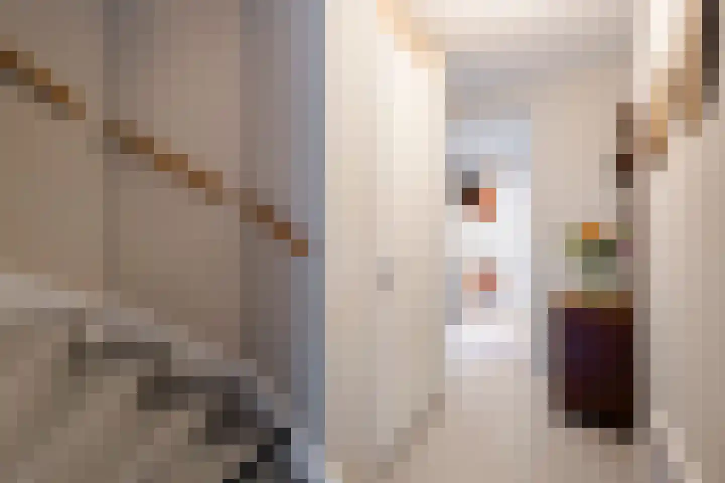 Benedenveer 8 Sliedrecht thumbnail 11