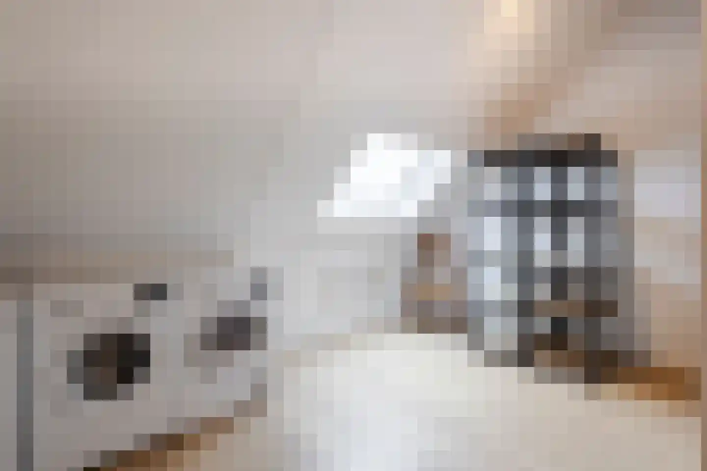 Benedenveer 8 Sliedrecht thumbnail 24