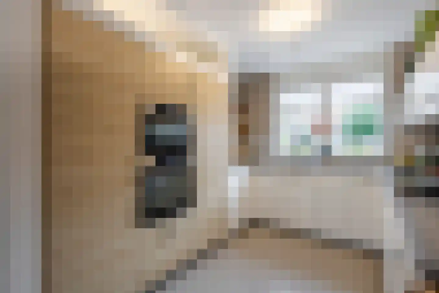 Benedenveer 8 Sliedrecht thumbnail 9