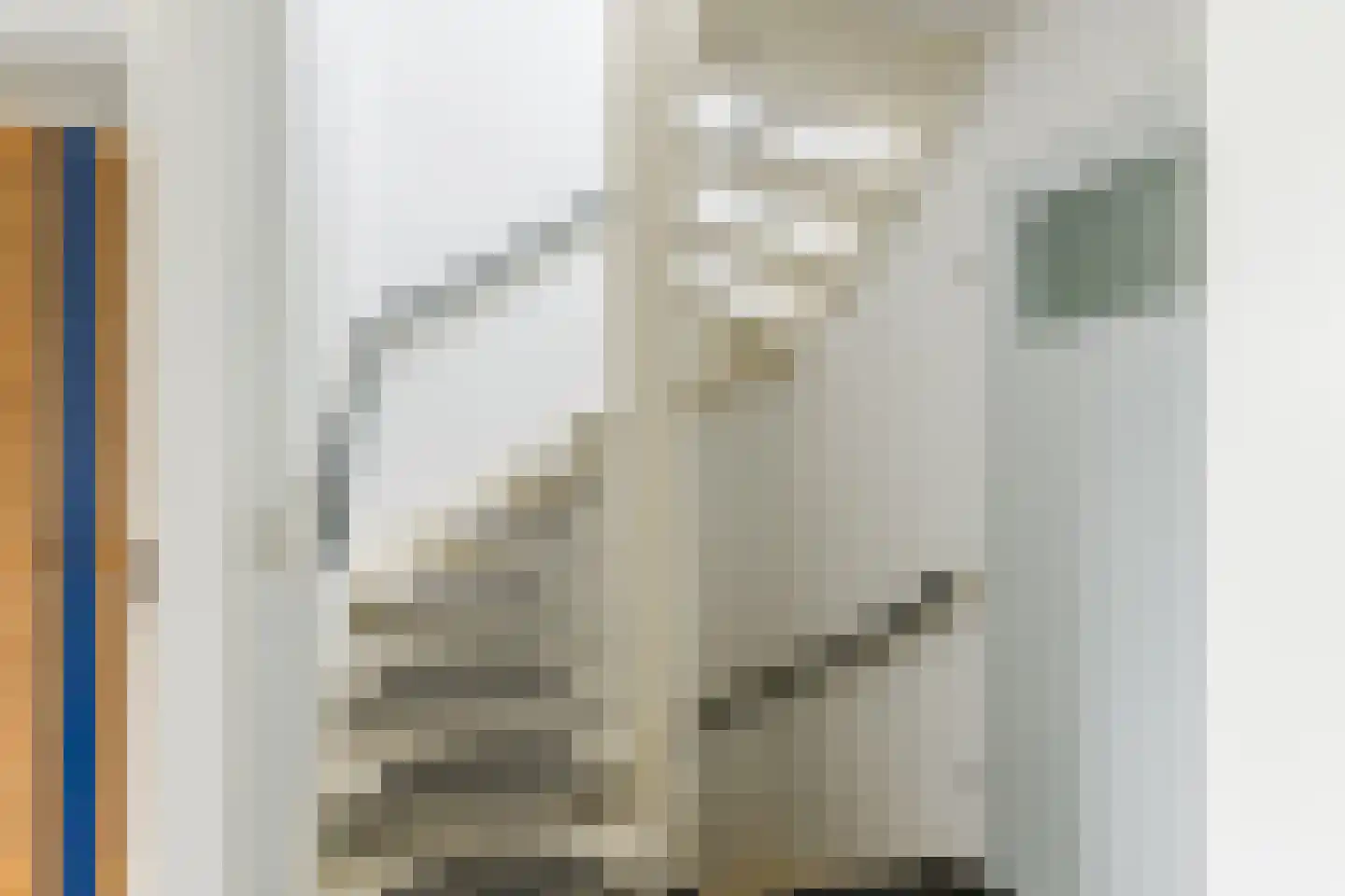 Benedenven 7 Goirle thumbnail 22