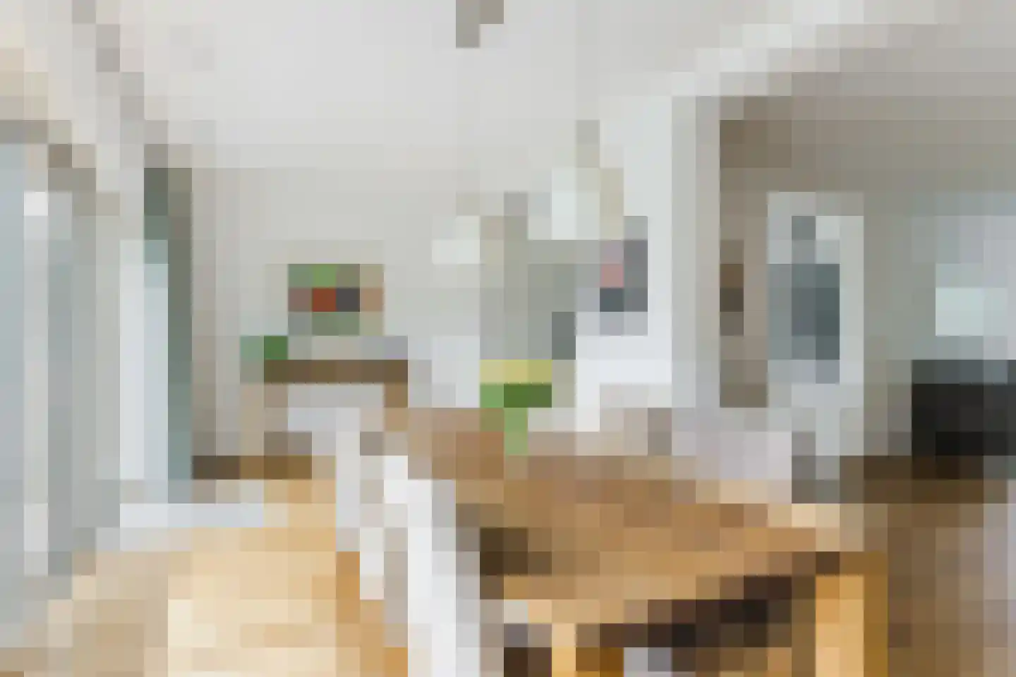 Benedenven 7 Goirle thumbnail 8