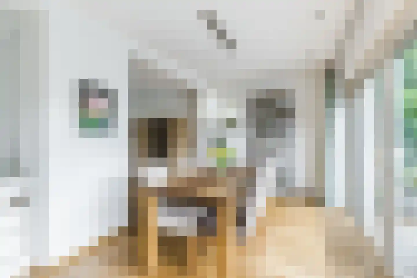 Benedenven 7 Goirle thumbnail 9