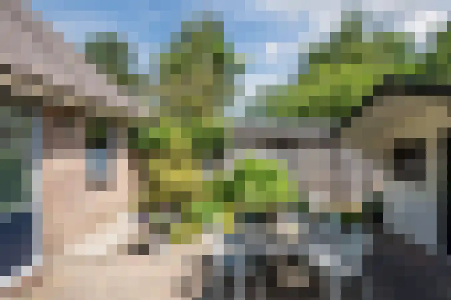 Benedenweg 125 Sint Pancras thumbnail 47