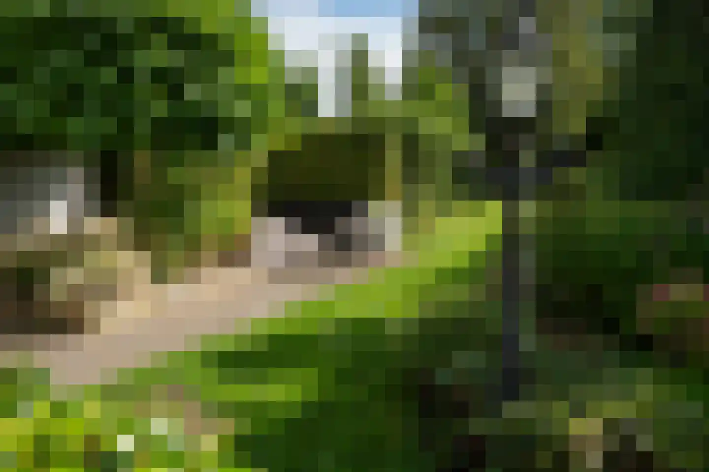 Benedenweg 279 Sint Pancras thumbnail 40