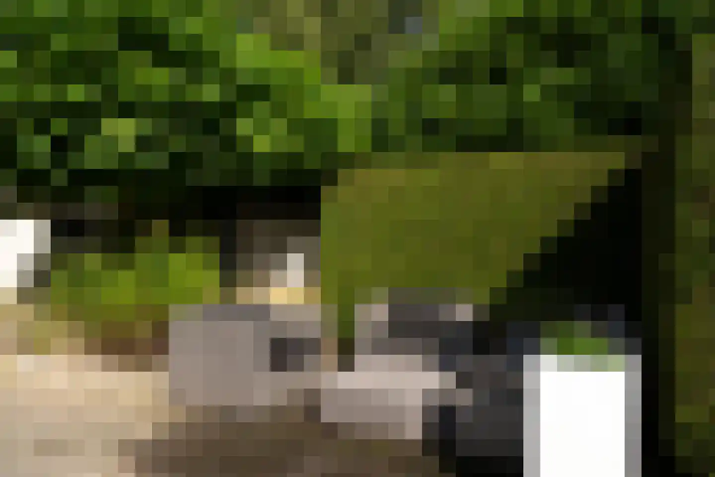 Benedenweg 279 Sint Pancras thumbnail 45