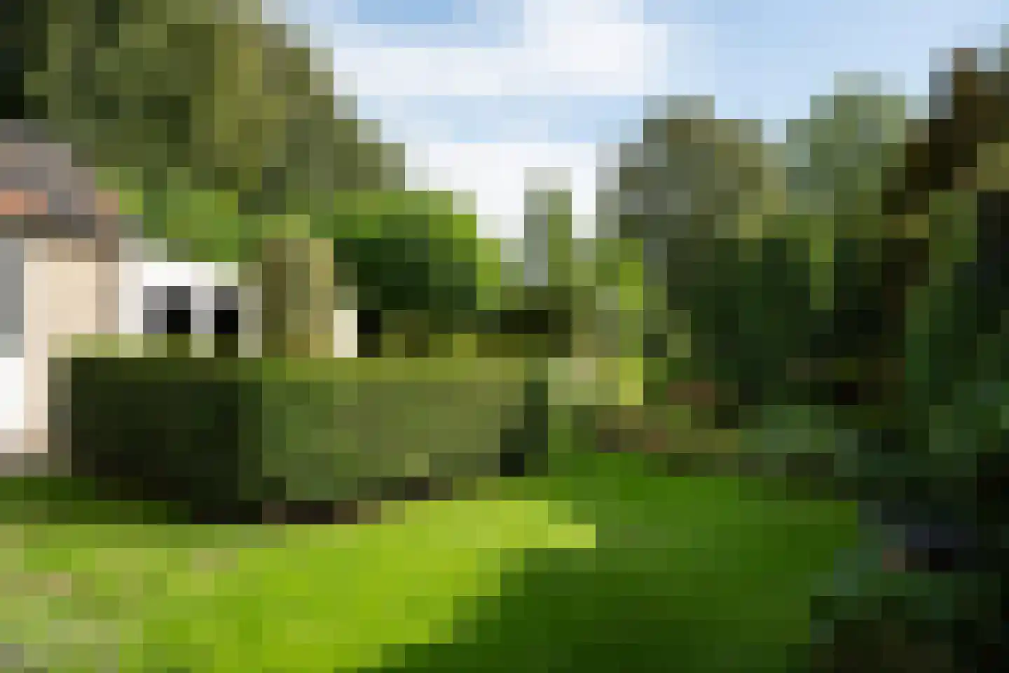 Benedenweg 279 Sint Pancras thumbnail 47
