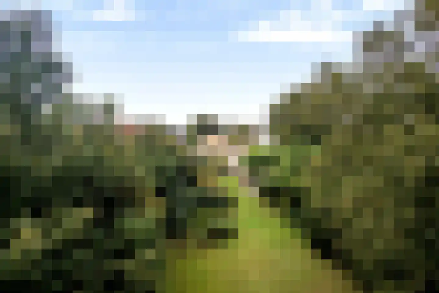 Benedenweg 279 Sint Pancras thumbnail 7