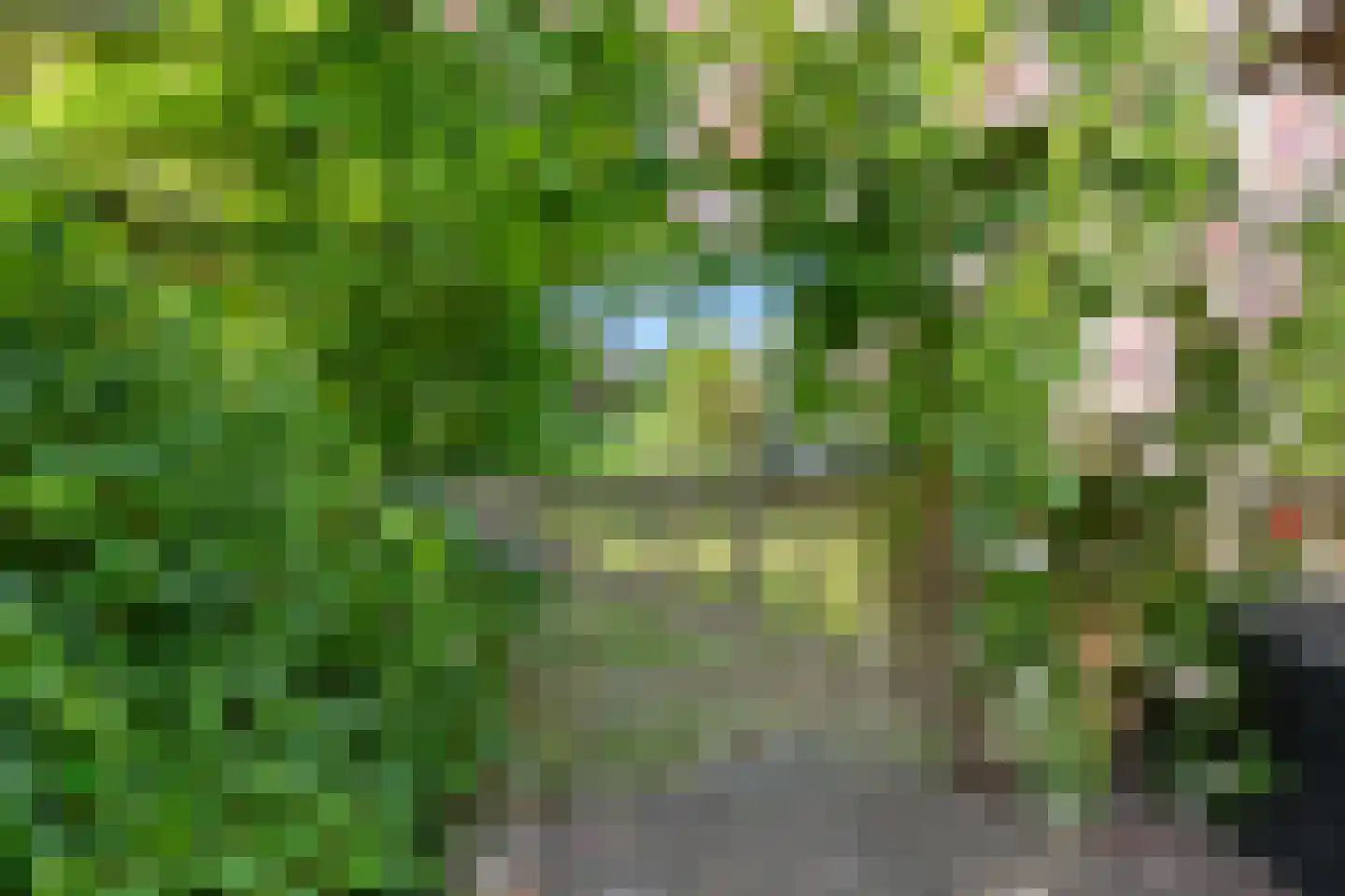 Benedenweg 304 Sint Pancras thumbnail 33