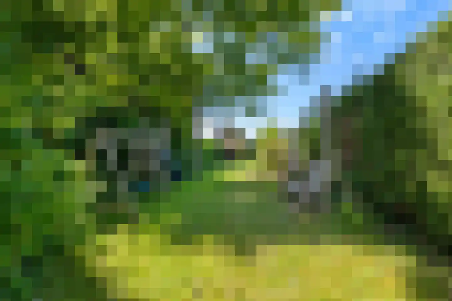 Benedenweg 304 Sint Pancras thumbnail 34