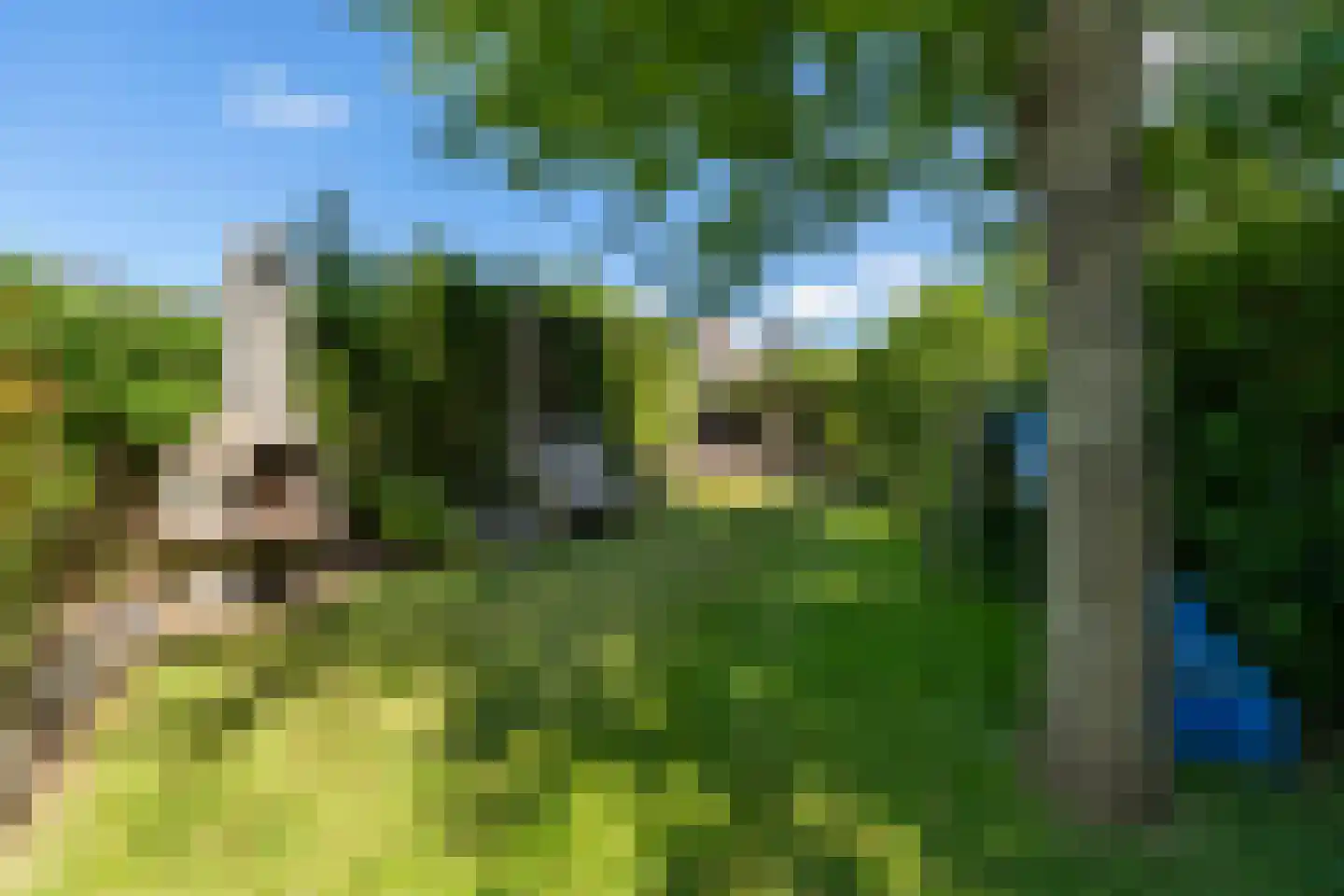 Benedenweg 304 Sint Pancras thumbnail 35