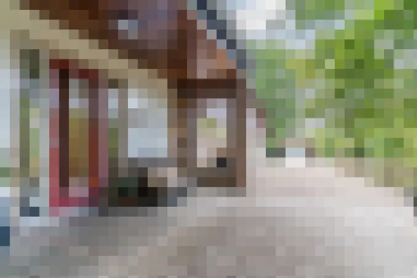 Benedenweg 314 Sint Pancras thumbnail 10