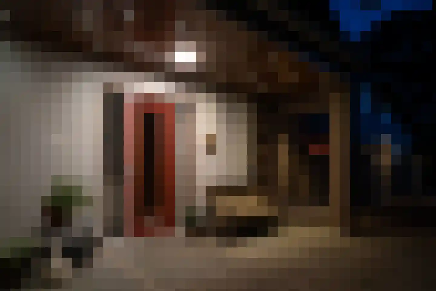 Benedenweg 314 Sint Pancras thumbnail 11