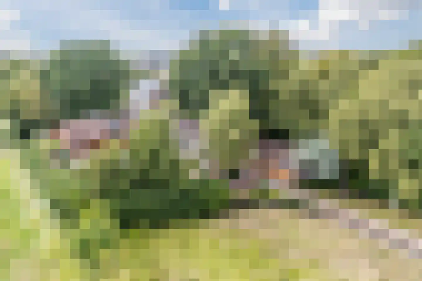 Benedenweg 314 Sint Pancras thumbnail 112