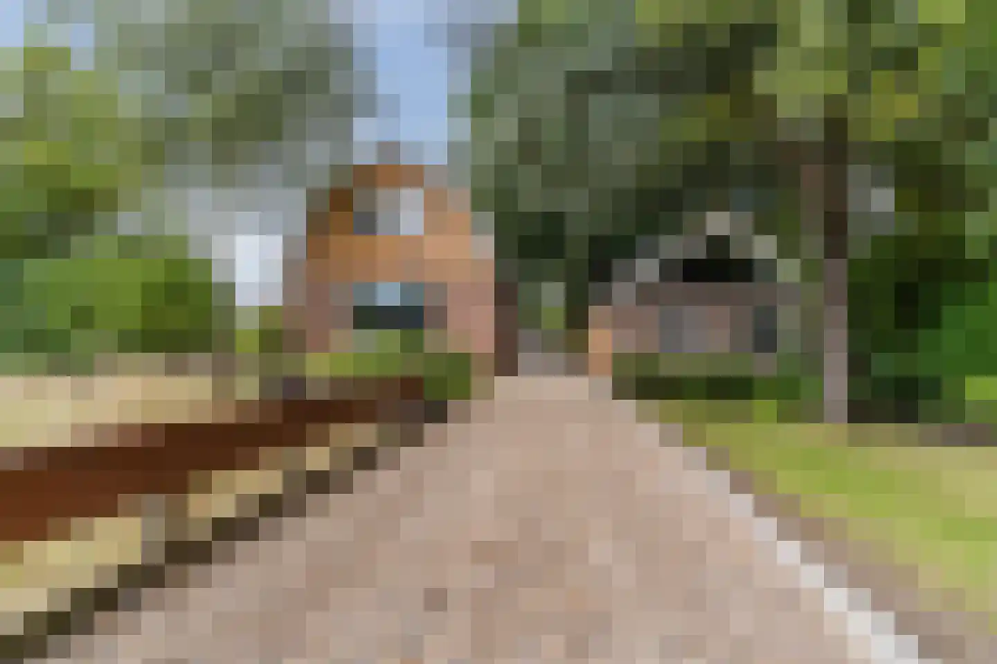 Benedenweg 314 Sint Pancras thumbnail 5